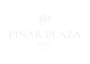 Cookie-Richtlinien - Hotel Pinar Plaza