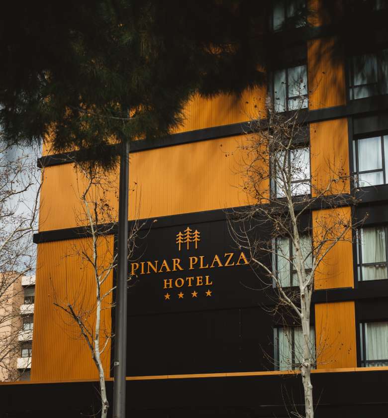 Cookie-Richtlinien - Hotel Pinar Plaza
